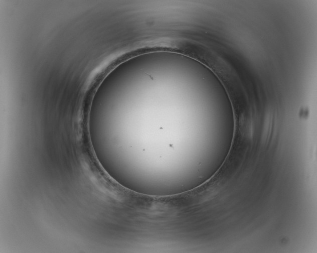 X0000114220388200910091352