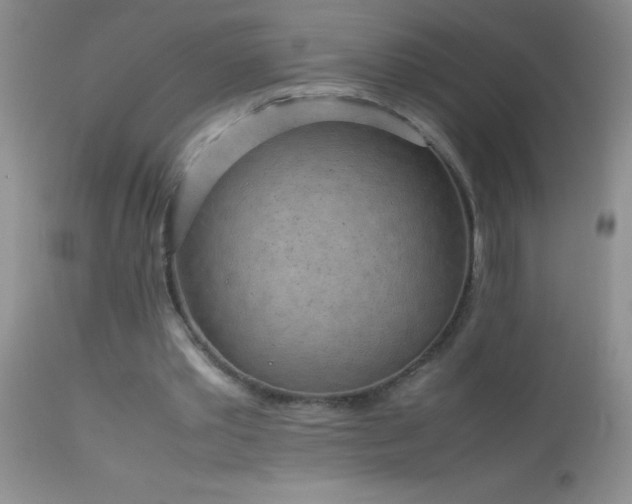 X0000114220389200910091352