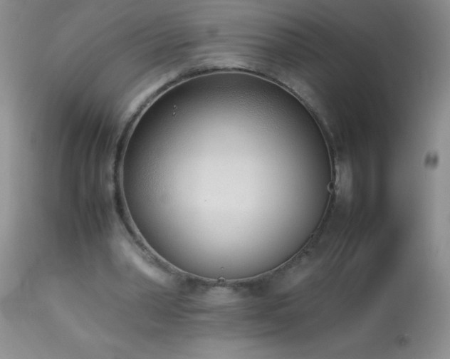 X0000114220390200910091352