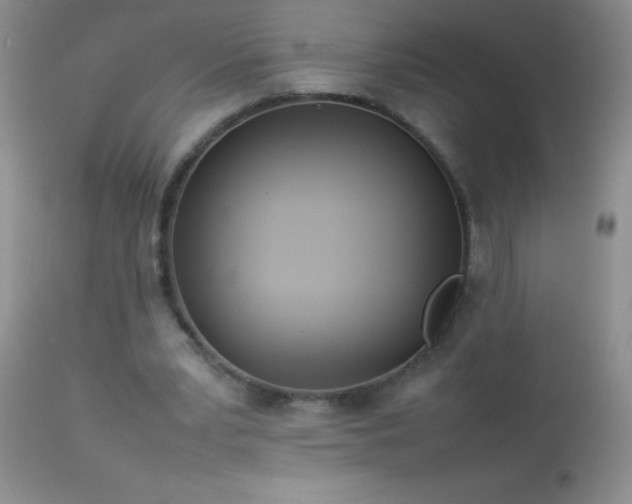 X0000114220391200910091352