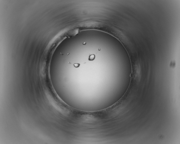 X0000114220392200910091352