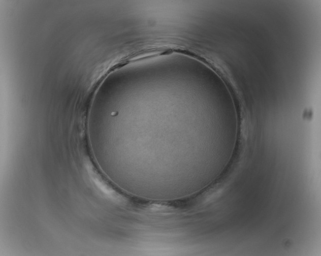 X0000114220393200910091352