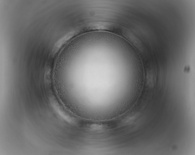 X0000114220394200910091352