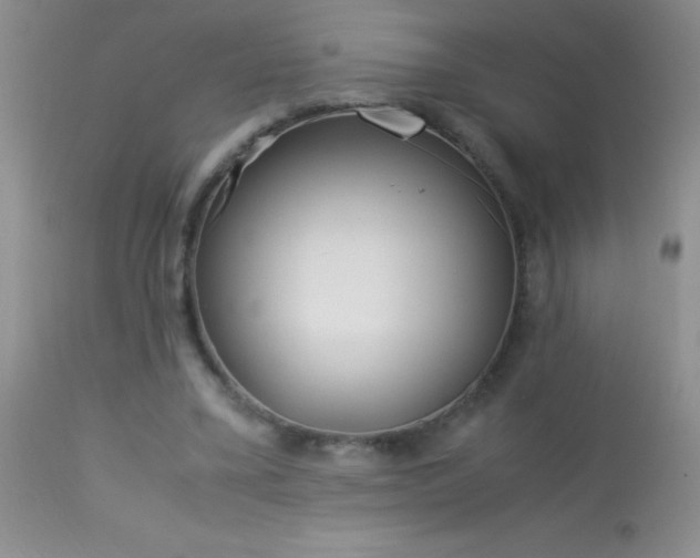 X0000114220395200910091352