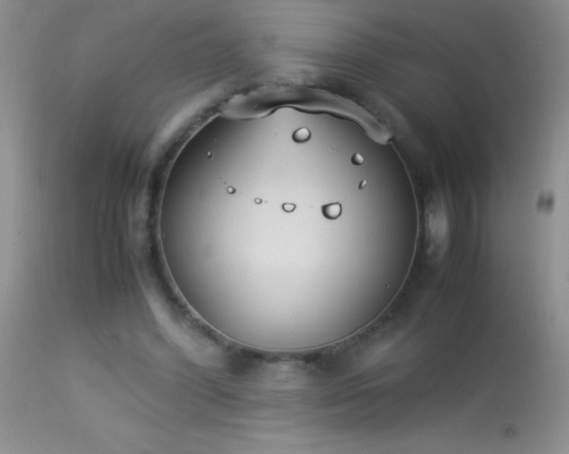 X0000114220396200910091352