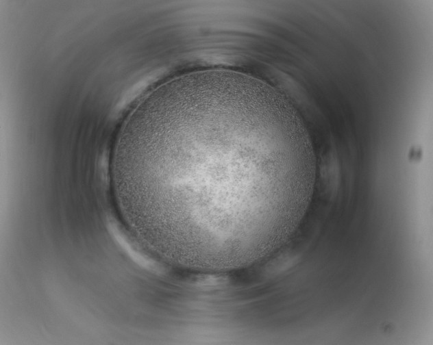 X0000114220398200910091352