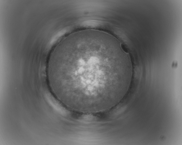 X0000114220399200910091352