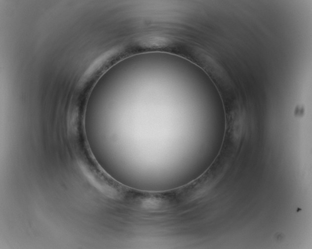 X0000114220400200910091352