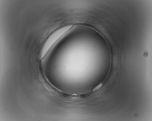 X0000114220401200910091352