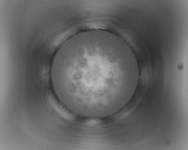 X0000114220402200910091352