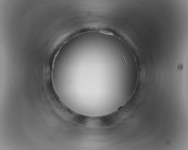 X0000114220403200910091352