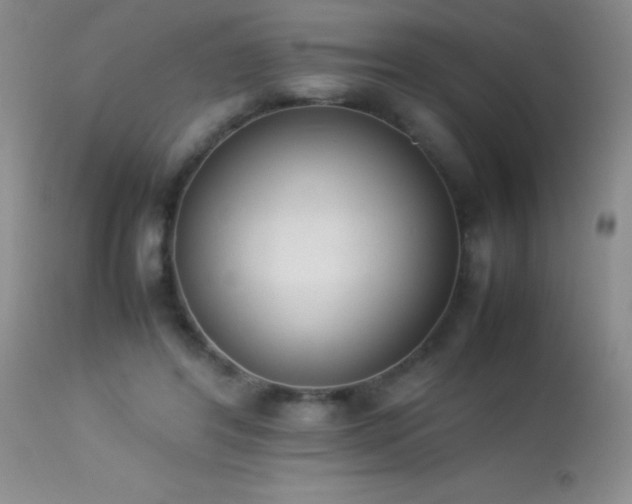 X0000114220404200910091352