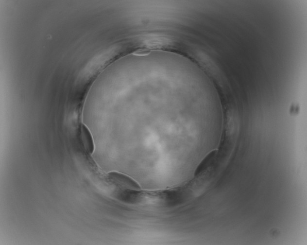 X0000114220405200910091352