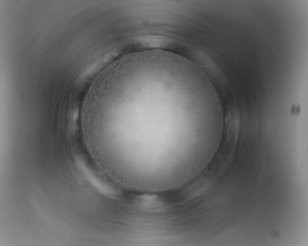 X0000114220406200910091352