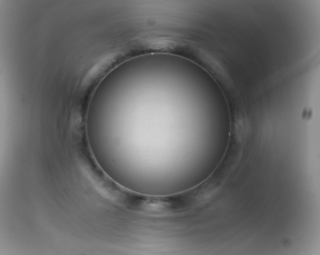 X0000114220407200910091352