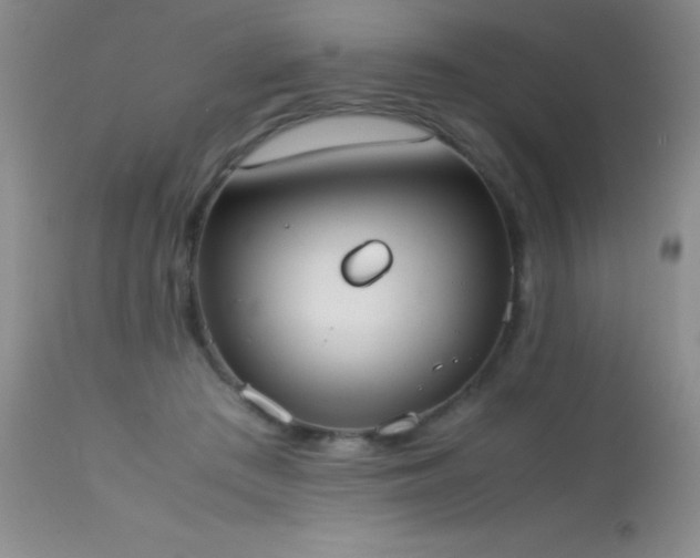 X0000114220409200910091352