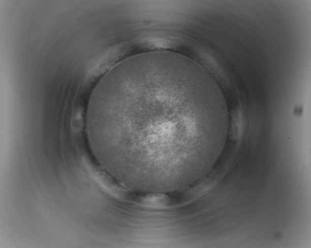 X0000114220410200910091352