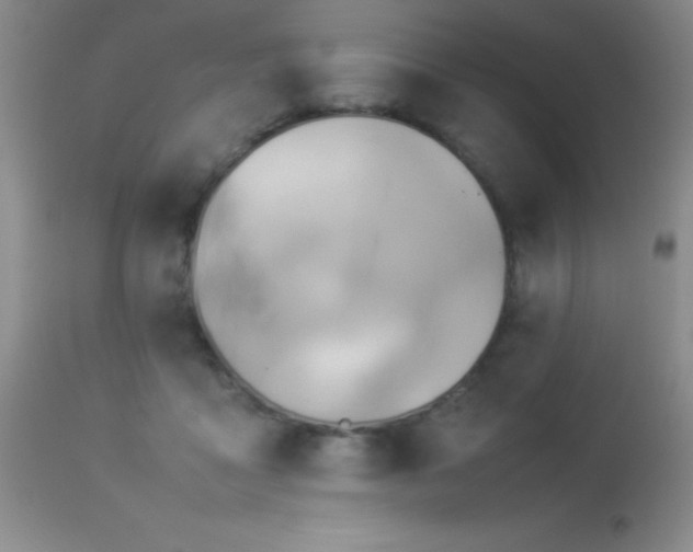 X0000114220411200910091352