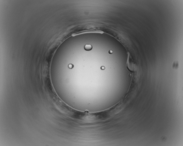 X0000114220413200910091352