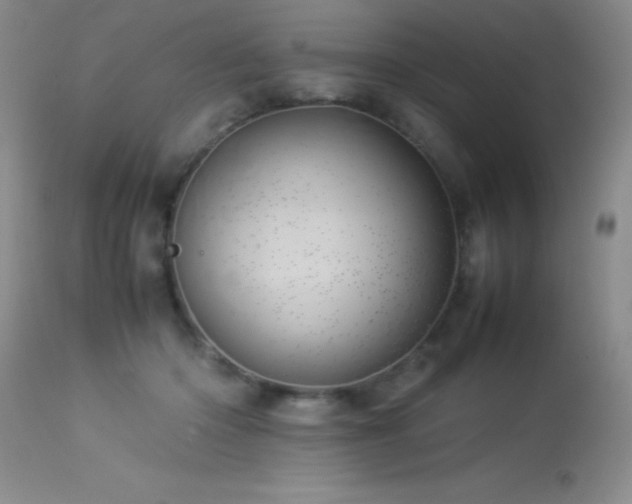 X0000114220414200910091352