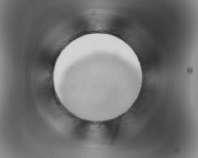 X0000114220415200910091352