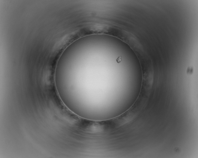 X0000114220416200910091352