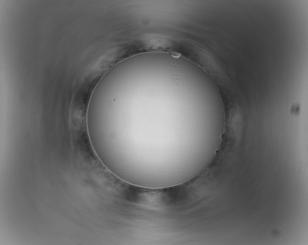 X0000114220417200910091352