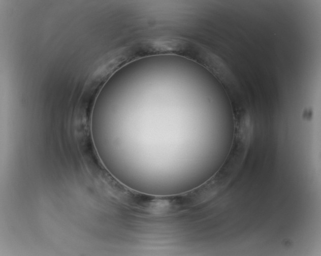 X0000114220418200910091352