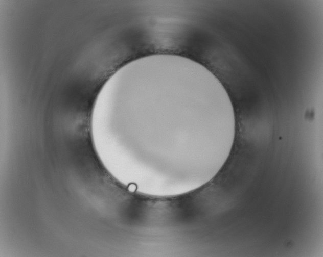 X0000114220419200910091352