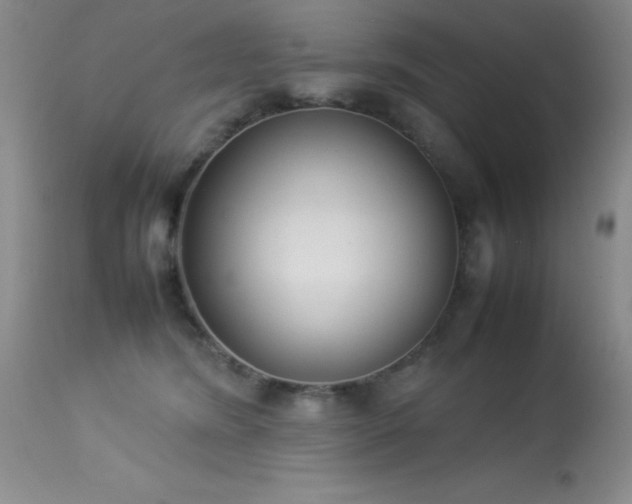 X0000114220420200910091352