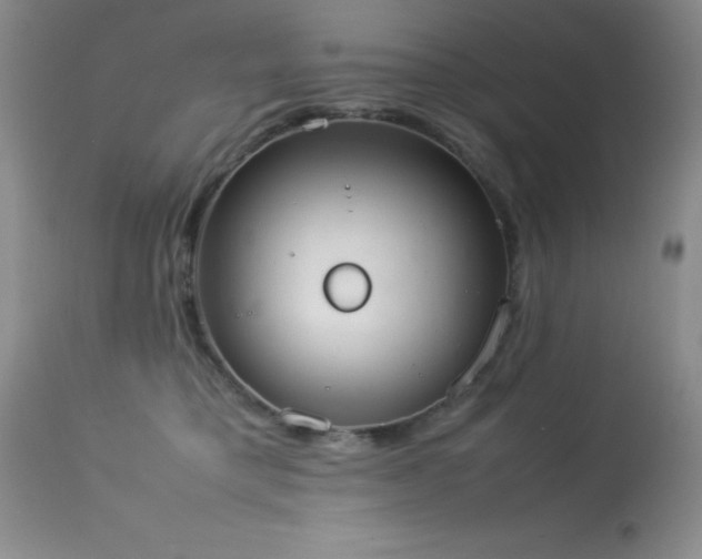 X0000114220421200910091352