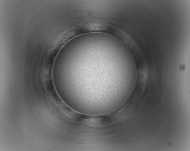 X0000114220422200910091352