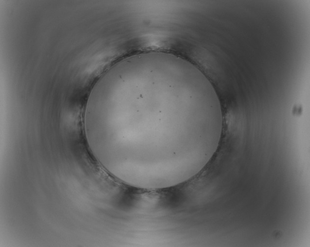 X0000114220423200910091352