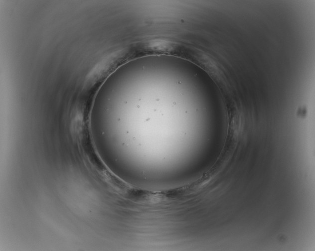 X0000114220424200910091352