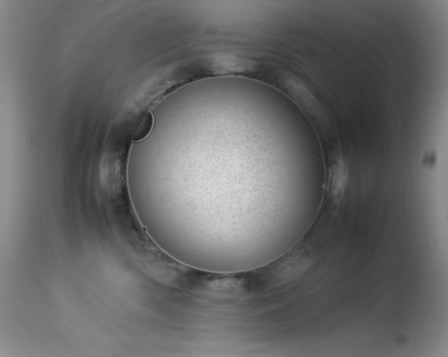 X0000114220426200910091352