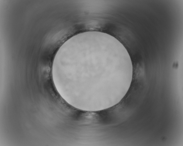 X0000114220427200910091352