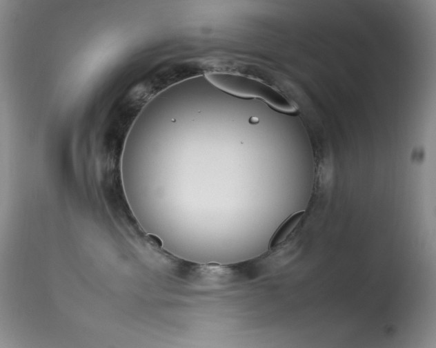 X0000114220429200910091352