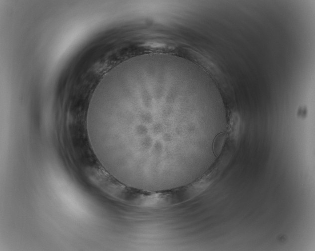 X0000114220430200910091352