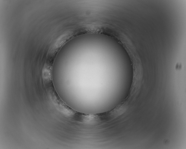 X0000114220432200910091352