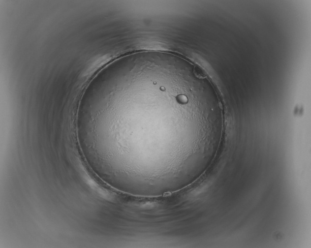 X0000114220433200910091351