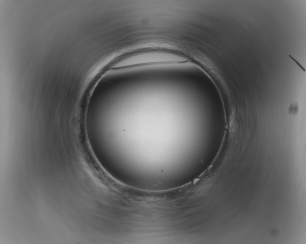 X0000114220436200910091351