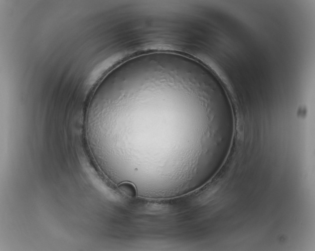 X0000114220437200910091351