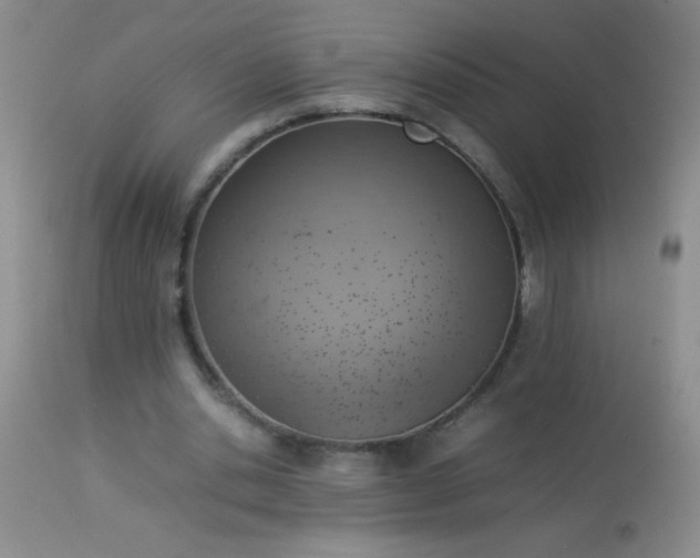 X0000114220438200910091351