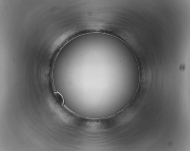 X0000114220440200910091351