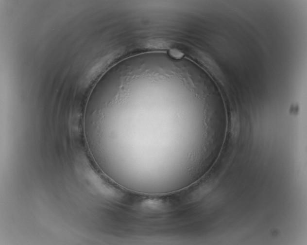 X0000114220441200910091351