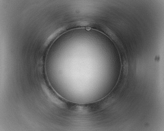 X0000114220442200910091351