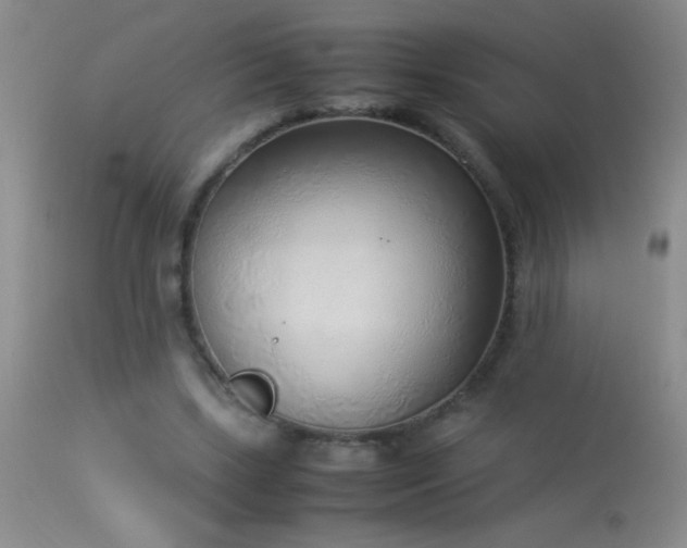 X0000114220443200910091351