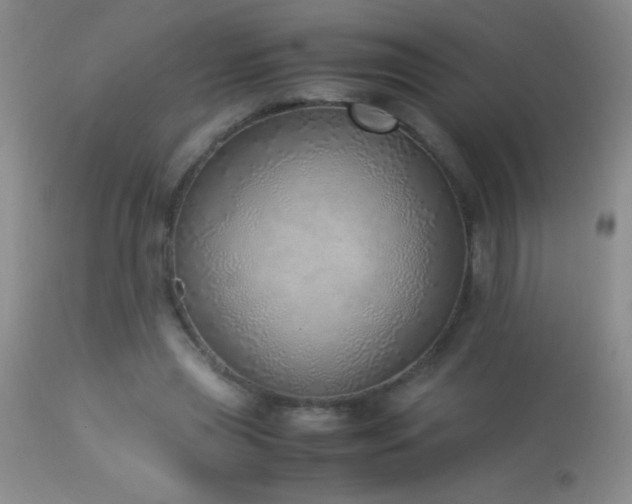 X0000114220445200910091351