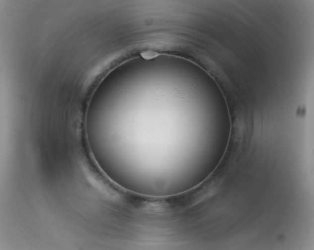 X0000114220446200910091351