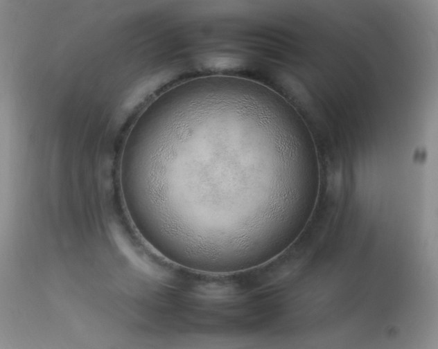 X0000114220447200910091351